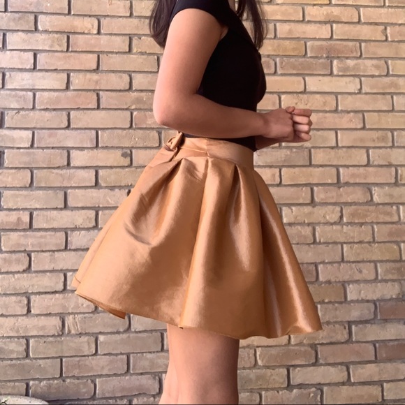 Gold Skirt - Picture 1 of 3